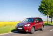 Subaru Forester – Der Gentlemen-Boxer