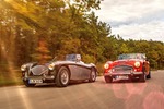 Austin Healey 100 und 3000 MK III: Draufgänger oder Feingeist?
