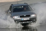 Skoda Octavia Scout: Pfad-Finder