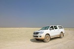 Toyota Hilux - Arbeitstier