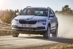 Skoda Karoq - Yeti war gestern