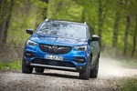 Opel Grandland X 1.6 Diesel - Deutscher Bruder