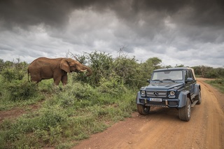 Mercedes-Maybach G 650 Landaulet - Mit dem Jagdschloss auf Safari-T...