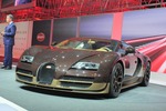 Genfer Autosalon 2014: Premiere für den „Rembrandt Bugatti“