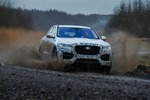 Fahrbericht Jaguar F-Pace: Jaguars neuer SUV schottert wie ein Range