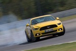 Ford Mustang 5.0 Ti-VCT GT Test: Der 421-PS-Reifenvernichter