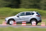 12 Soft-Offroader im Mastertest: Bester Kompakt-SUV gesucht