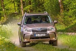 Subaru Forester 2.0 XT Platinum im Test: Aufgefrischter Rustikal-Pr...
