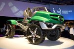 Pfeilgiftfrosch stand beim Jubiläums-Unimog Pate