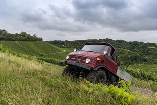 Panorama: Weinbau mit einem Unimog - Veteran im Wingert