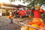 Alltagsklassiker VW T3 1,6 TD: Platz für alle im Kasten-Bulli mit D...
