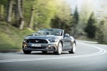Ford Mustang Cabrio - Armerika-Tournee