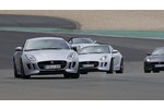 Jaguar F-Type S AWD 3.0 V6 Coupe - Auf allen Vieren