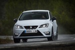 Seat Ibiza Cupra - Stier(chen)