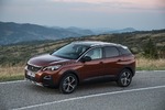 Peugeot 3008 Blue HDI 180 - Willkommen im Dschungel