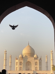 Roadtrip von Mumbai nach Delhi - Achtung Kühe!