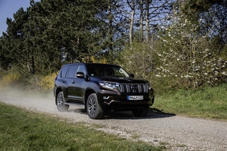 Toyota Land Cruiser 2.8 D-4D - Rustikal und edel