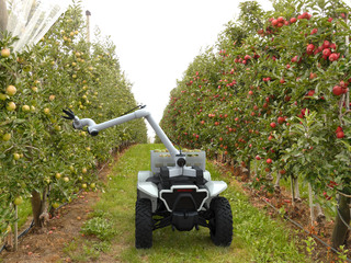 Roboter-Quad von Honda - Kleiner Helfer für Arbeit und Notfall