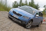 Skoda Octavia Scout im Fahrbericht: Hemdsärmeliger Alltagspartner