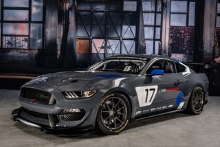 Ford Mustang GT4 - Rennpferd