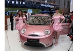 Reportage: Auto Shanghai 2009 - Dann lieber China