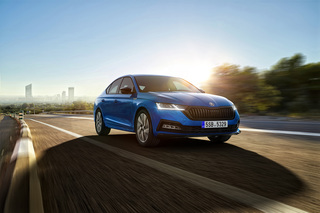 Skoda Octavia Sportline - Dynamische Linie