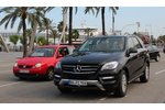 ML 250 Bluetec Verbrauchsfahrt - Auf die schwäbische Art