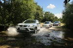 Seat Ateca, VW Tiguan, Ford Kuga: Nachzügler gegen&nbs...