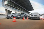 Q5 gegen Kodiaq und Tiguan: Der Konzern-SUV-Dreikampf